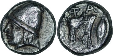 ������: 078-2031