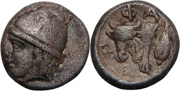 ������: 078-2031