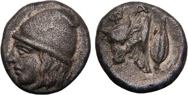 ������: 078-2031