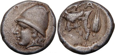 ������: 078-2031