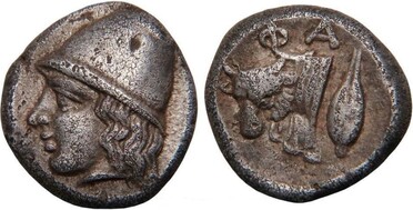 ������: 078-2031