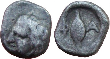 ������: 079-2130