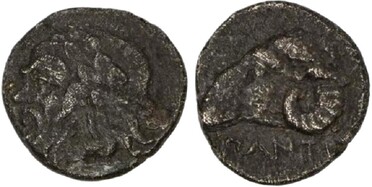 ������: 080-2007