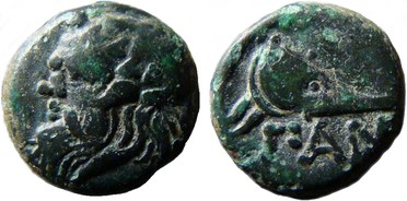 ������: 081-2019