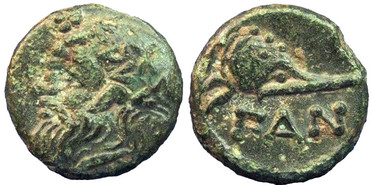 ������: 081-2019