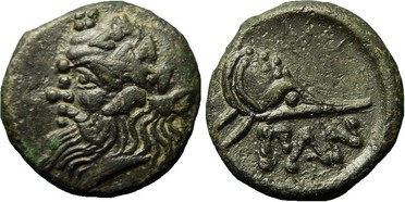 ������: 081-2019