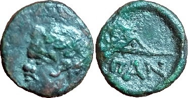 ������: 081-2019