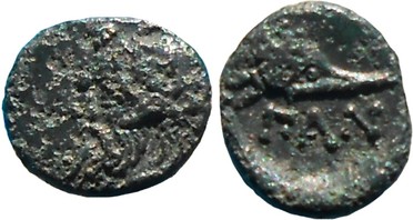 ������: 081-2019