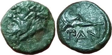 ������: 081-2019