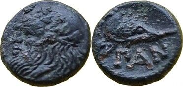 ������: 081-2019