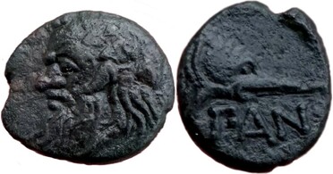 ������: 081-2019