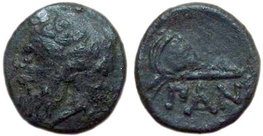 ������: 081-2019