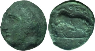 ������: 082-2118