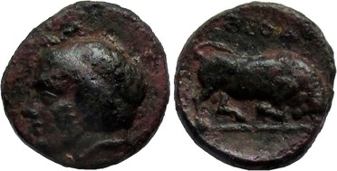 ������: 082-2118