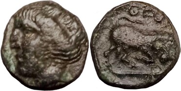 ������: 082-2118