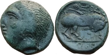 ������: 082-2118