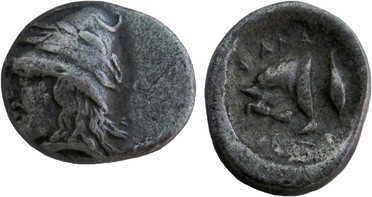 ������: 084-2064