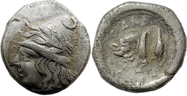 ������: 084-2064