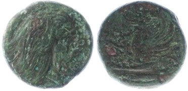 ������: 111-3141