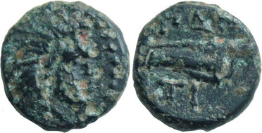 ������: 113-2110