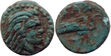 ������: 113-2111