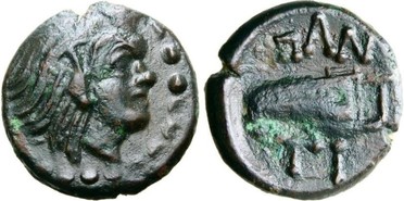 ������: 113-2111