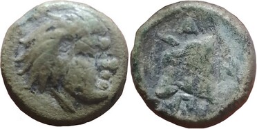 ������: 114-2103