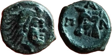 ������: 114-2119