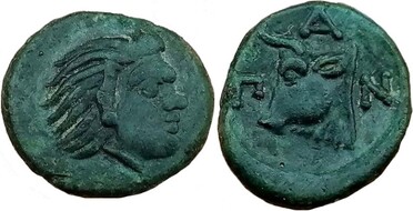 ������: 114-2119