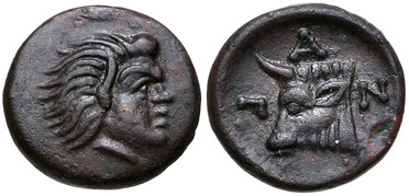 ������: 114-2119