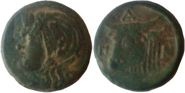 ������: 124-3007