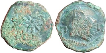 ������: 130-3135