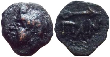 ������: 133-3117