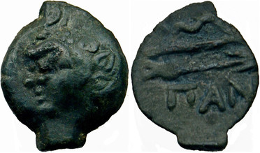 ������: 133-3117