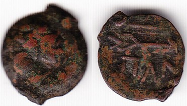 ������: 133-3117