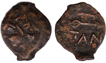 ������: 133-3117