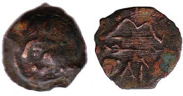 ������: 133-3117