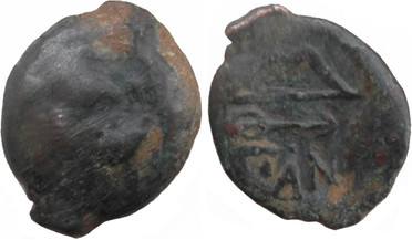 ������: 133-3117