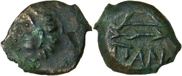 ������: 133-3117