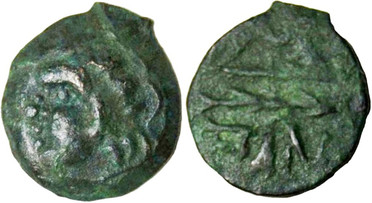 ������: 133-3117