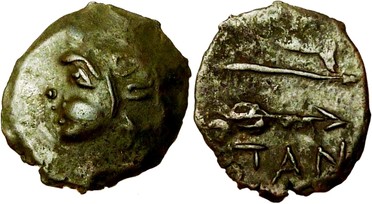 ������: 133-3117