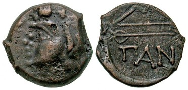 ������: 133-3117