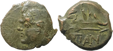 ������: 133-3117