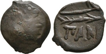 ������: 133-3117