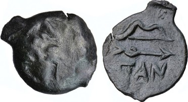 ������: 133-3117