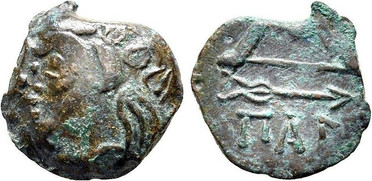 ������: 133-3117