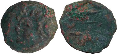 ������: 133-3117