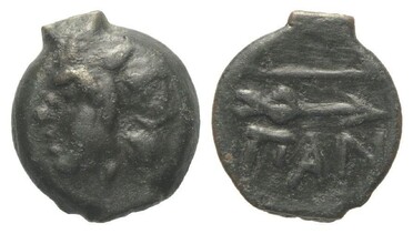 ������: 133-3117