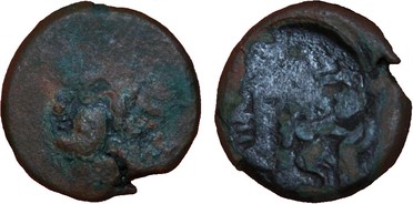 ������: 133-3118