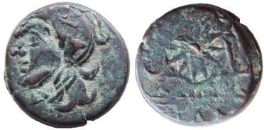 ������: 133-3118